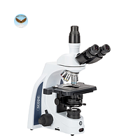 Kính hiển vi ba mắt iScope Euromex IS.1153-PLPHi (EWF 10x/22 mm, 10/20/S40/S100x)